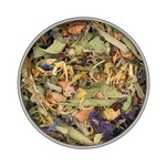 van Bruggen Thee Gezond en fit 50 gram zakjes