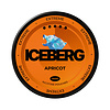 ICEBERG ICEBERG Apricot Mini Extreme