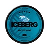 ICEBERG ICEBERG Arctic Mint Mini Extreme