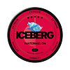 ICEBERG ICEBERG Watermelon Mini Extreme