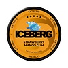 ICEBERG Iceberg Strawberry Mango Gum