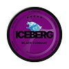 ICEBERG ICEBERG Extreme Black Currant