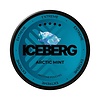 ICEBERG ICEBERG Extreme Arctic Mint ICEBERG ICEBERG Extreme Arctic Mint