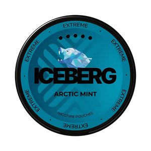 ICEBERG ICEBERG Arctic Mint ICEBERG ICEBERG Arctic Mint