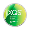 XQS XQS Cactus Sour XQS XQS Cactus Sour