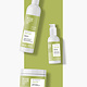 Nook Beauty Family Elasticizing Sorbet Fluid – LEAVE IN