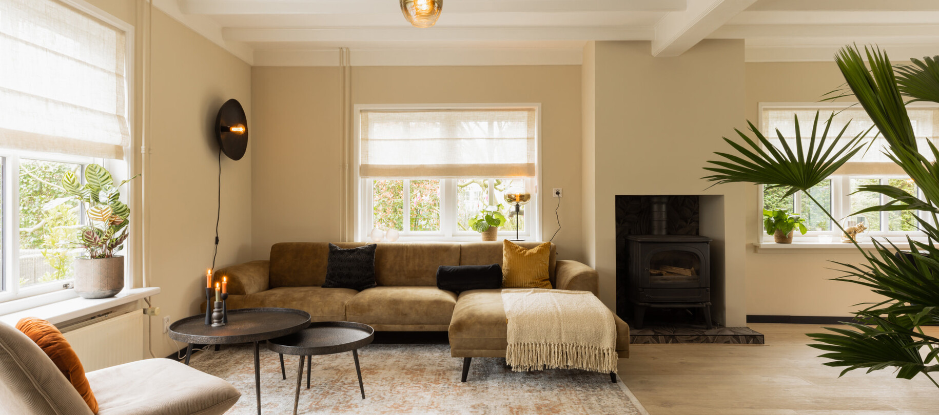 Van schouw tot kattenwand - Project Betuwe | Aflevering 7 | Seizoen 3