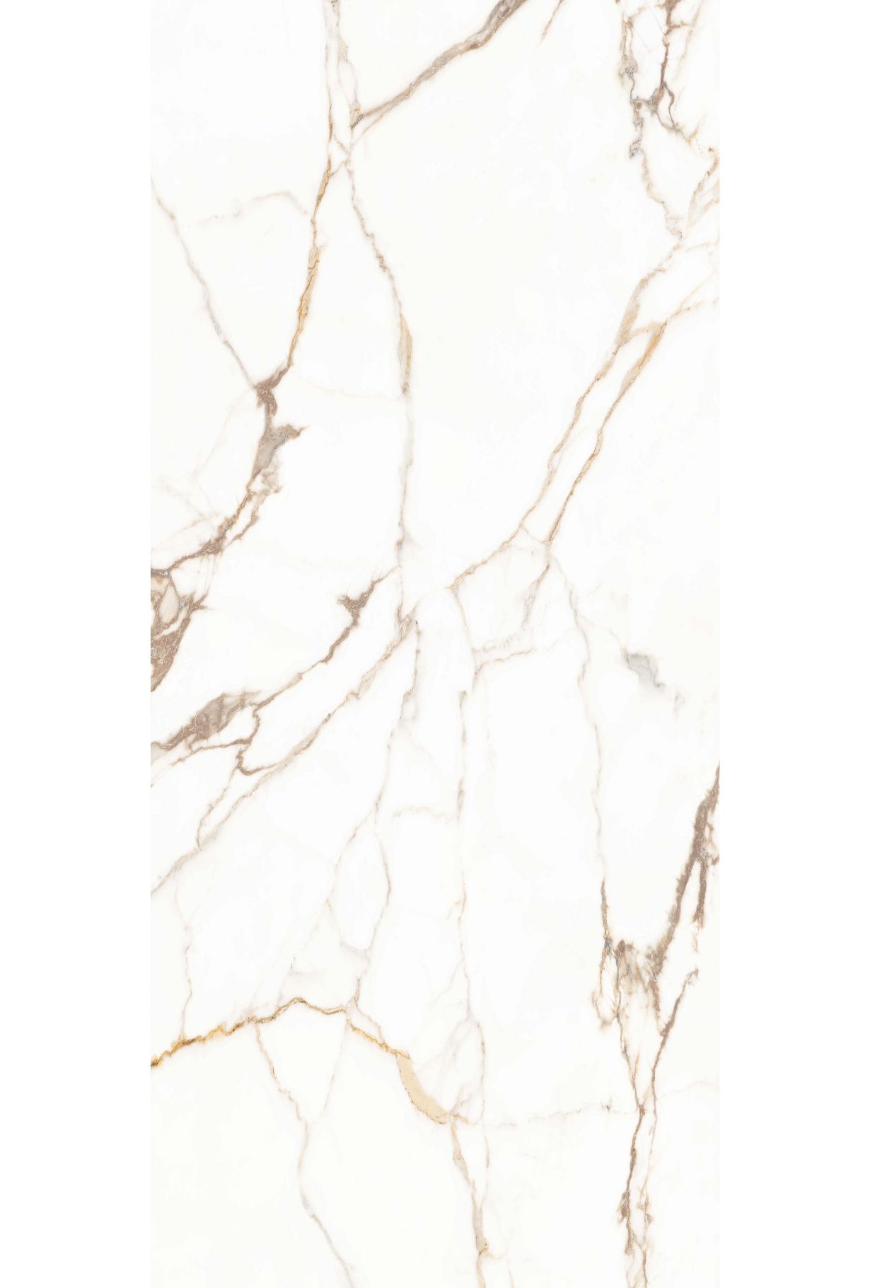 Proefstuk Aurora d'Oro 1