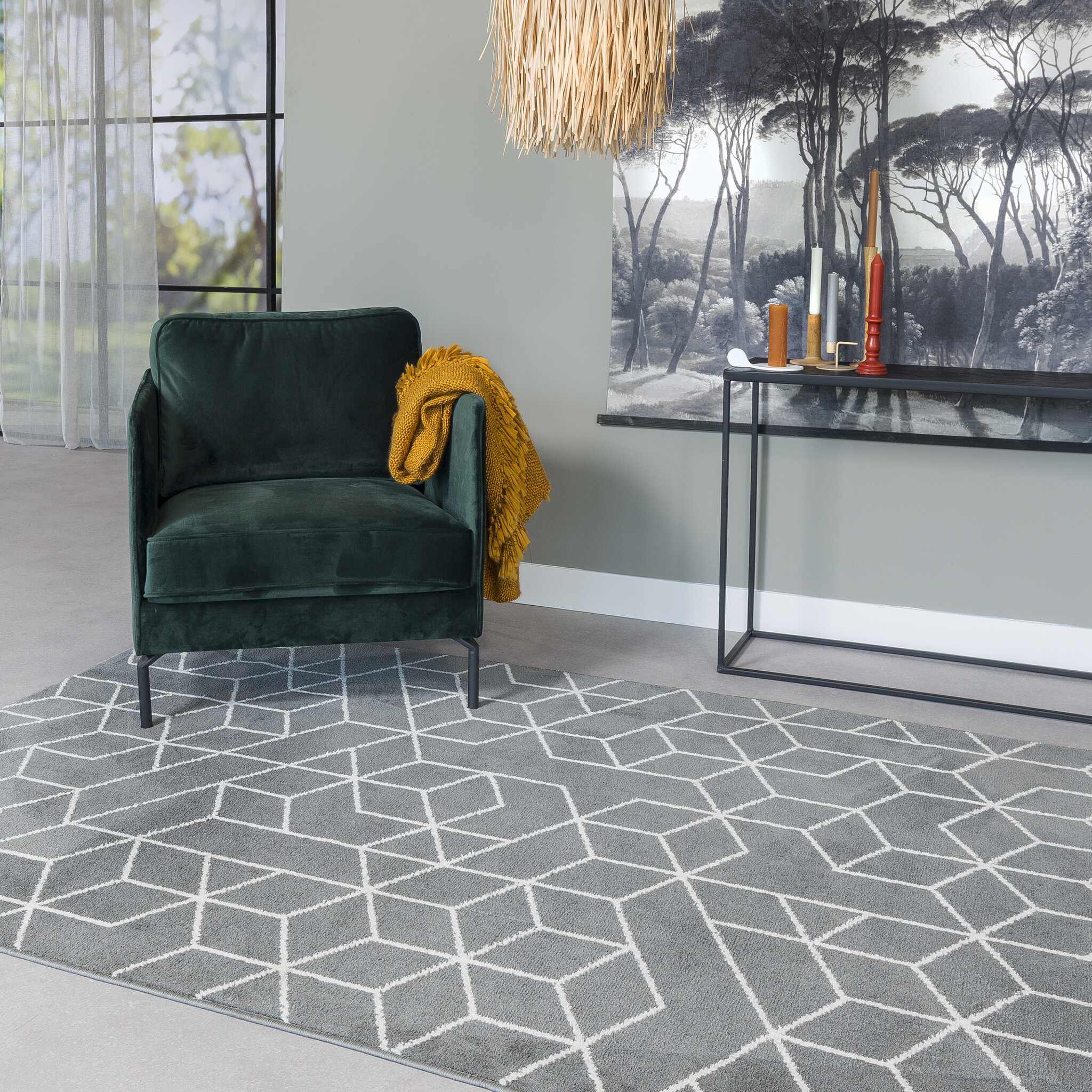 Hoyz Collection - Vloerkleed C230 Antraciet - 160x230x3