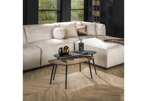 Hoyz - Salontafel Metallic Niervormig -  Grijs - Set van 2