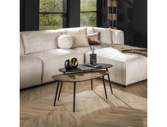 Hoyz - Salontafel Metallic Niervormig -  Grijs - Set van 2