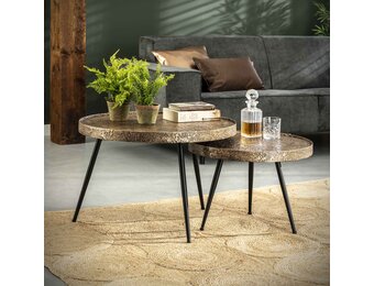 Hoyz - Salontafel Rond Metallic - Goudkleurig - Set van 2