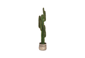 LABEL51 - Woondecoratie Cactus - Groen - 25x30x130cm
