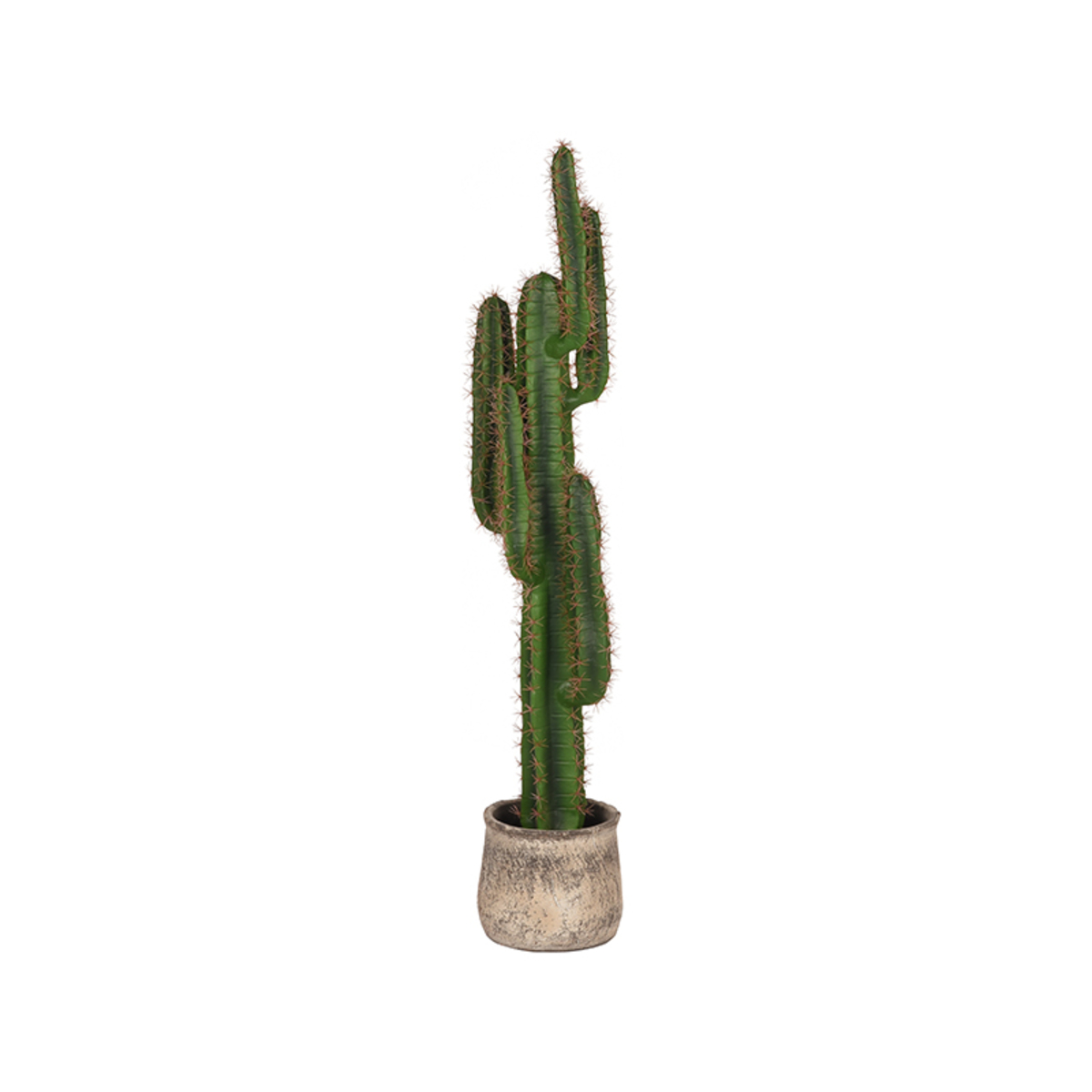 LABEL51 - Woondecoratie Cactus - Groen - 25x30x130cm