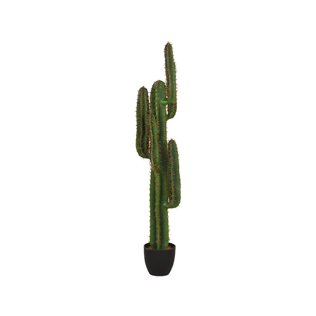 LABEL51 - Woondecoratie Cactus - Groen - 25x30x130cm