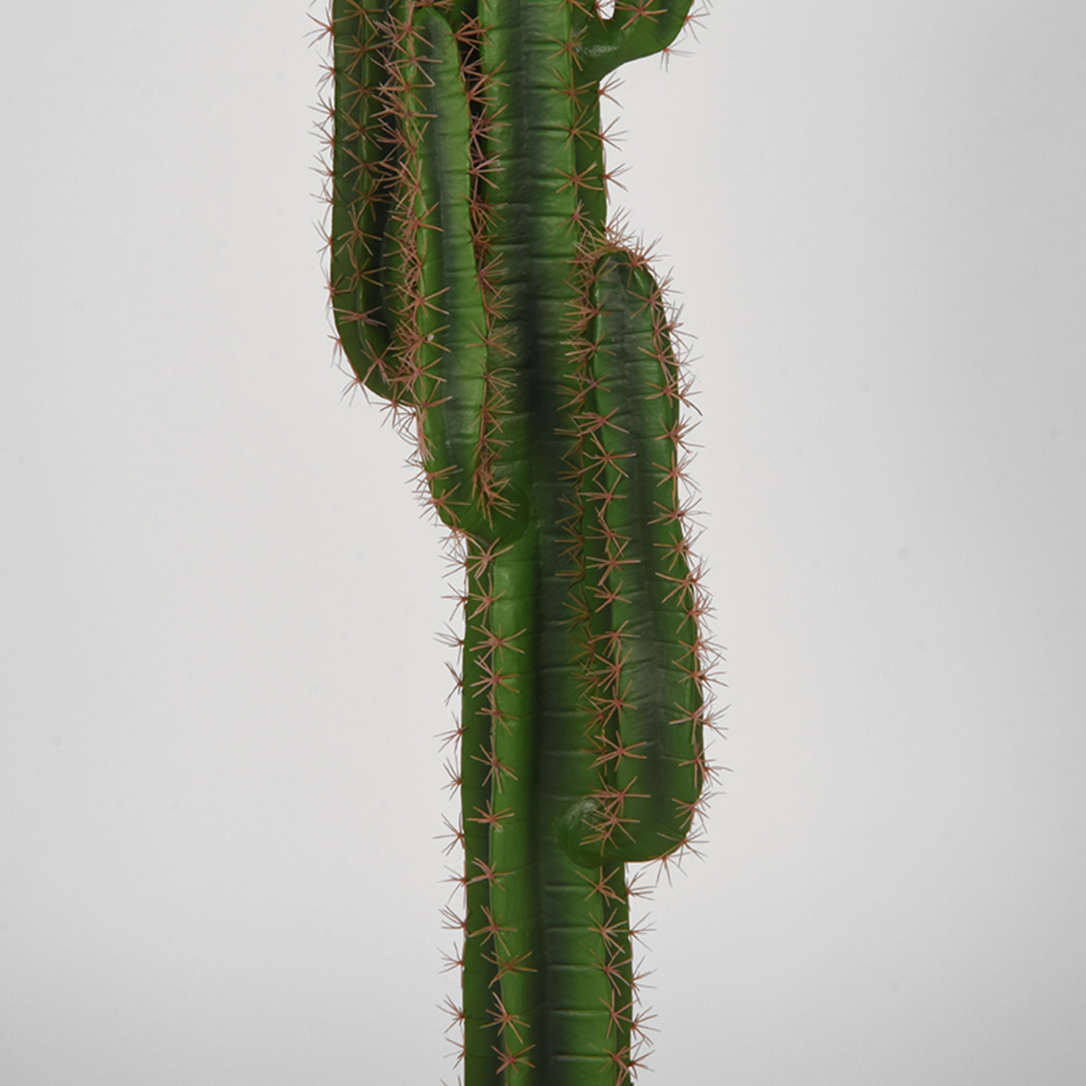 LABEL51 - Woondecoratie Cactus - Groen - 25x30x130cm