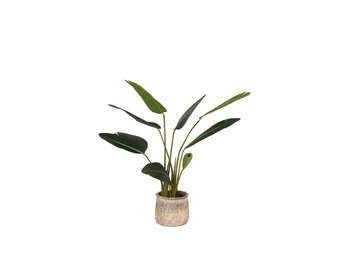 LABEL51  Strelitzia - Groen - Kunststof - 100 cm