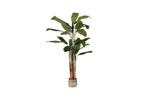 LABEL51 - Woondecoratie Musa - Groen - 110x110x180cm