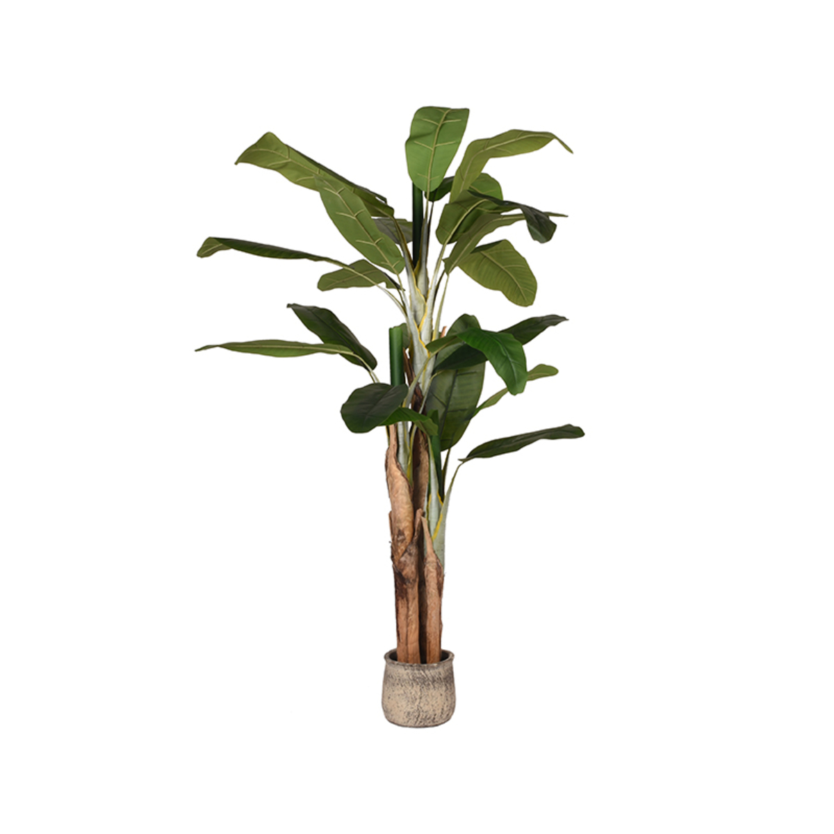 LABEL51 - Woondecoratie Musa - Groen - 110x110x180cm