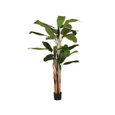 LABEL51 - Woondecoratie Musa - Groen - 110x110x180cm