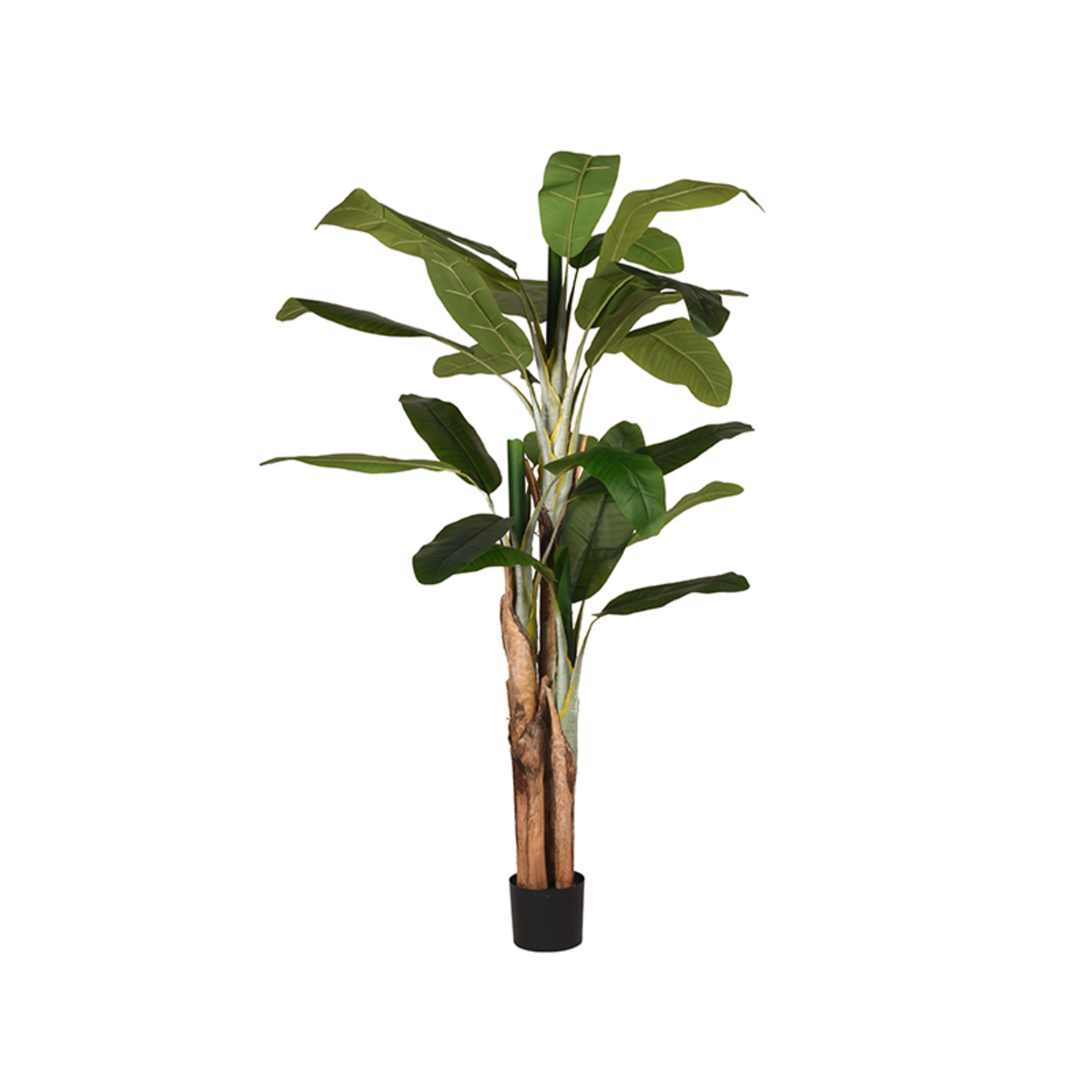 LABEL51 - Woondecoratie Musa - Groen - 110x110x180cm
