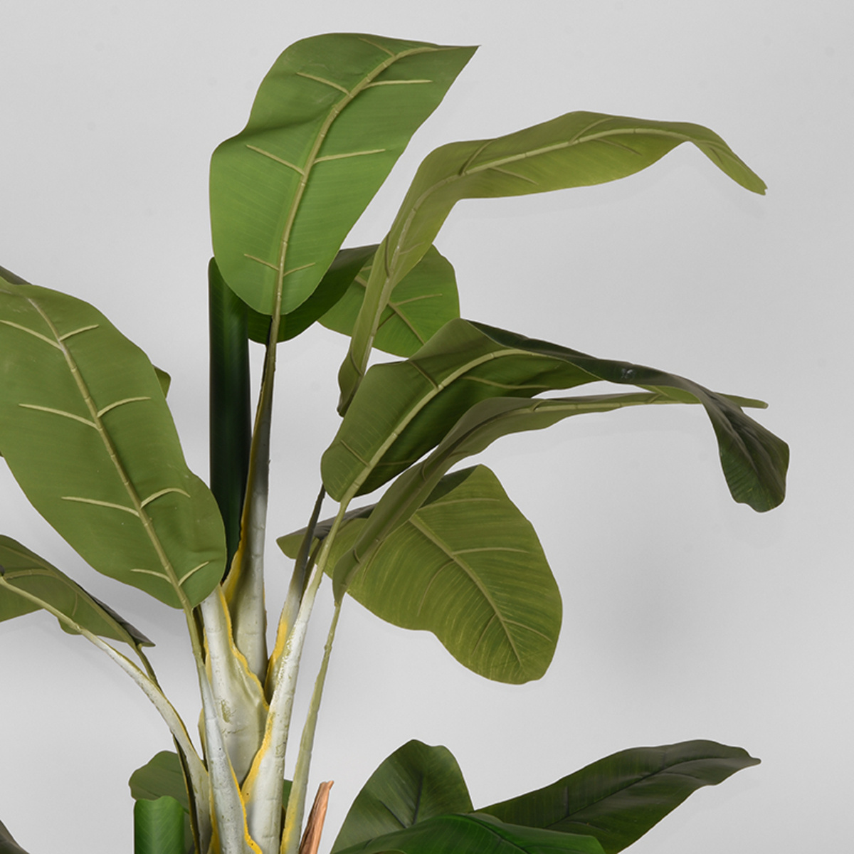 LABEL51 - Woondecoratie Musa - Groen - 110x110x180cm