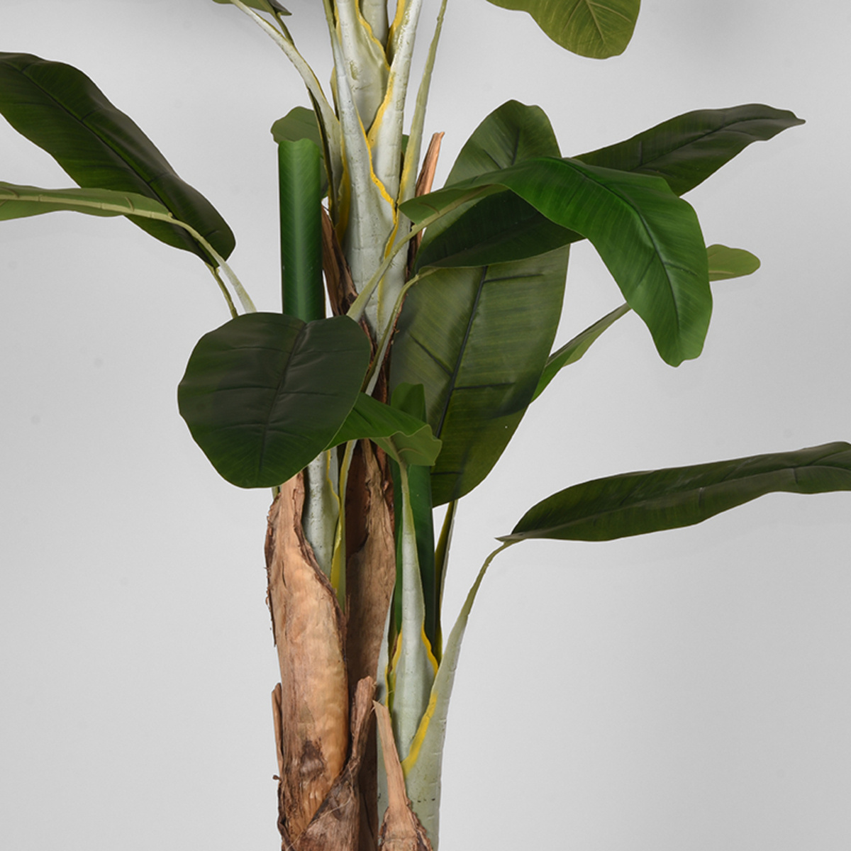 LABEL51 - Woondecoratie Musa - Groen - 110x110x180cm