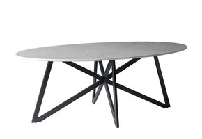 Livingfurn - Eetkamertafel DT- Marble Oval Web White 200cm - Marmer / Gecoat Staal