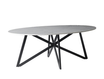 Livingfurn - Eetkamertafel DT- Marble Oval Web White 200cm - Marmer / Gecoat Staal