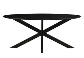 Livingfurn - Eetkamertafel Oslo Oval Spider Black 160 cm - Mangohout / Gecoat Staal