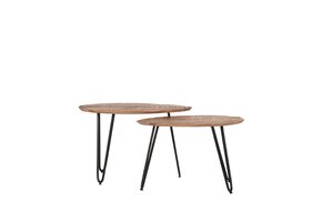 LABEL51 Salontafel Set Frisk 68x43x44 cm - Bruin - Mangohout