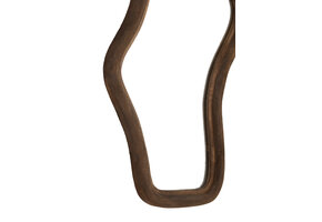 Light & Living - Spiegel CELANO - 62x5x121cm - Bruin