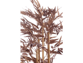 Light & Living - Kunstplant BAMBOO - 120x70x120cm - Brons