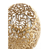 Light & Living - Windlicht FAMARO - Ø33x51cm - Goud