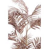 Light & Living - Kunstplant PALM - 135x145x135cm - Brons