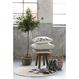 Light & Living - Kruk CEDRO - 50x31x37cm - Bruin