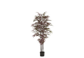 Light & Living - Kunstplant BAMBOO - 70x60x150cm - Groen