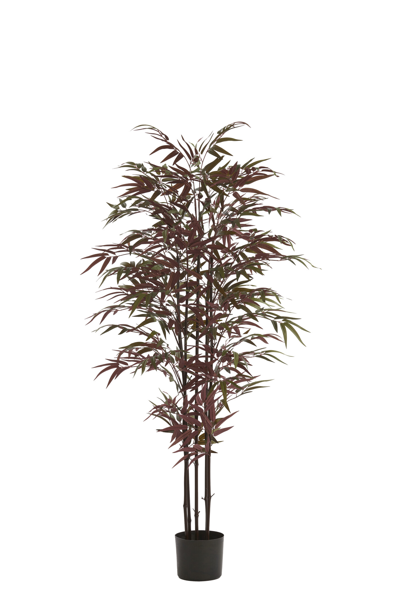 Light & Living - Kunstplant BAMBOO - 70x60x150cm - Groen