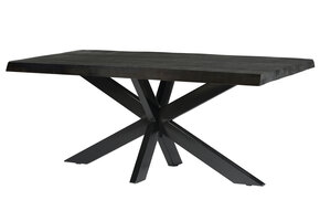 Livingfurn - Eetkamertafel Norris Tree - 200x100x76 cm - Mangohout / Gecoat Staal