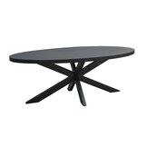 Livingfurn - Eetkamertafel Kala Oval Spider 180 cm - Mangohout / Gecoat Staal