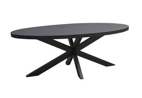 Livingfurn - Eetkamertafel Kala Oval Spider 180 cm - Mangohout / Gecoat Staal