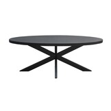 Livingfurn - Eetkamertafel Kala Oval Spider 180 cm - Mangohout / Gecoat Staal