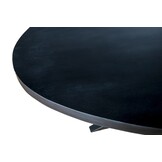 Livingfurn - Eetkamertafel Kala Oval Spider 180 cm - Mangohout / Gecoat Staal