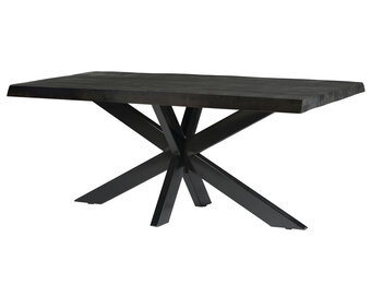 Livingfurn - Eetkamertafel Norris Tree - 220x100x76 cm - Mangohout / Gecoat Staal