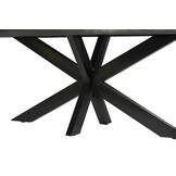 Livingfurn - Eetkamertafel Norris Tree - 220x100x76 cm - Mangohout / Gecoat Staal