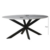 Livingfurn - Eetkamertafel Marble Oval Spider White - 180x90x75 - Marmer