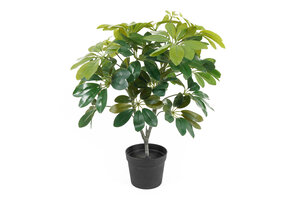 Present Time - Kunstplant Shefflera - Groen