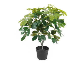 Present Time - Kunstplant Shefflera - Groen