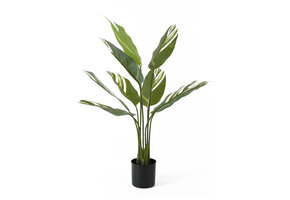 Present Time - Kunstplant Calathea - Groen