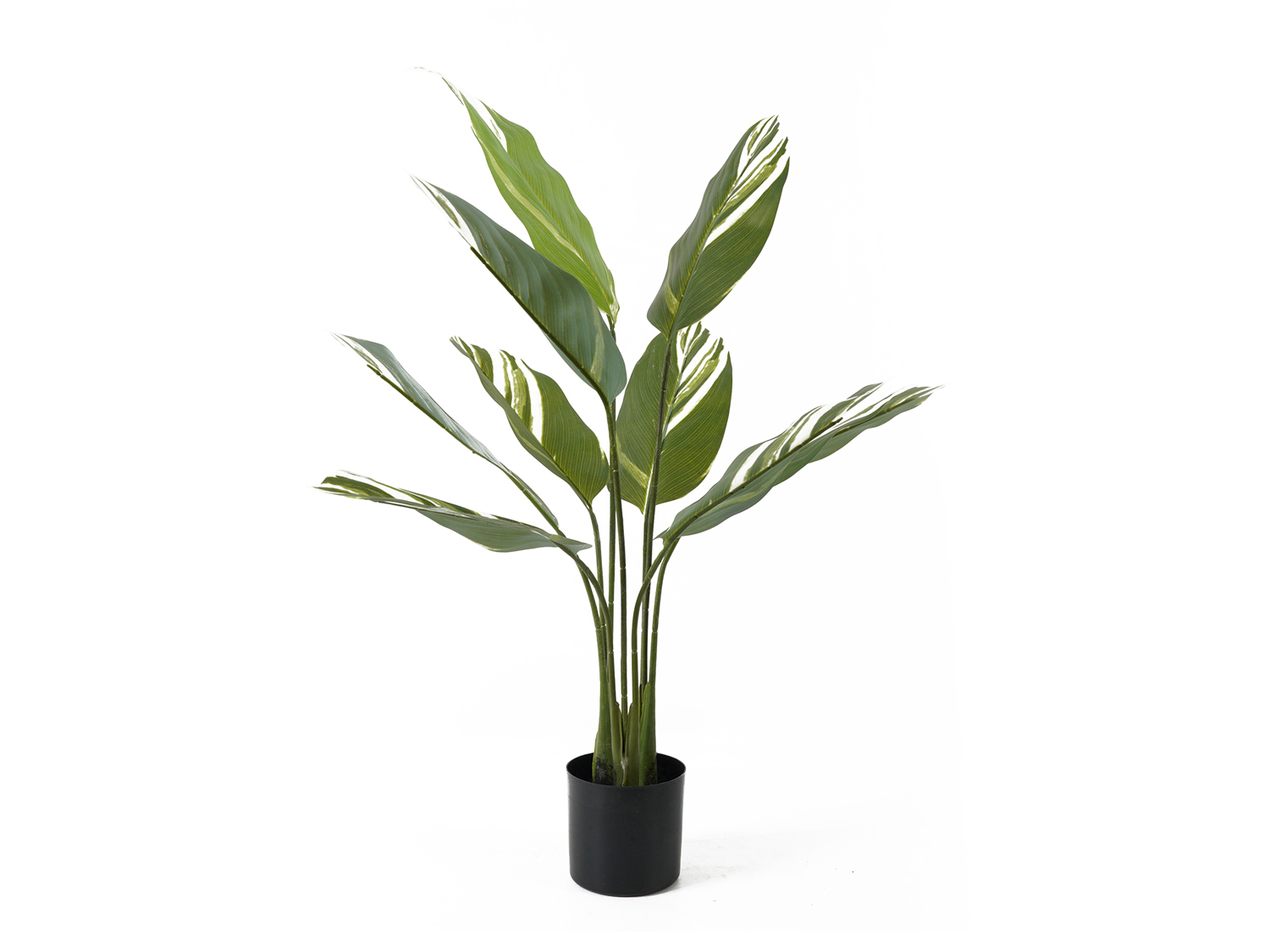 Present Time - Kunstplant Calathea - Groen